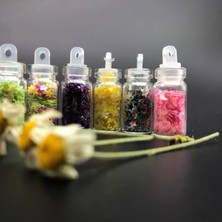 Daisy Nail Art Kavanoz Süslemeleri Çok Renkli (6lı)