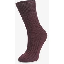 Shinex Merino Bordo Yün Kadın Çorap 32