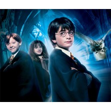 Atölye7 Tasarım Harry Potter Büyük Boy 20X24 cm A4 Yenilebilir Pasta Kurabiye Şeker Hamuru Kağıt Baskısı Dikdörtgen