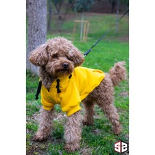 Köpek Elbisesi, Köpek Hoodie, Magnet, Küçük Irk Köpek Kıyafeti