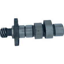 Motosvn Ramzey Cross 200 Xf 200 Eksantrık Mılı