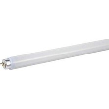 Eurolight 6W T5 Floresan Ampul F6T5/D