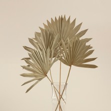 Chakra Felicity Çiçek Aksesuar Kahverengi Renkli Premium Tasarım 10 cm