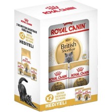 Royal Canin Royal Canin® British Shorthair Yetişkin Kedi Maması 2 kg + 2 Adet Yaş Mama Hediyeli