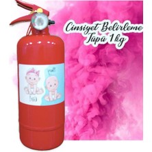 Poyraz 1kg Yangın Tüpü  Baby Shower  Cinsiyet Partisi Pembe