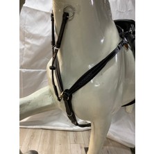 Atsar Equestrian Ithal Deri Göğüslüklü Martingal Dolgulu ve Lastikli (Siyah)