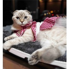 Gobo Pembe Kareli Papyonlu Dişi Kedi Köpek Kıyafeti Elbisesi