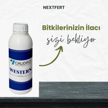 Western Bitki Besini Western Bitki BESINI-100 ml