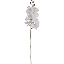 Herdekora Yapay Orkide Gerçek Dokunuş Beyaz 104  cm .
