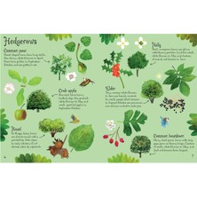 Usborne   Minis Trees To Spot