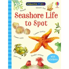 Usborne   Minis Seashore Life To Spot