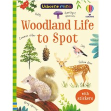 Usborne   Minis Woodland Life To Spot