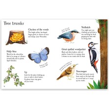 Usborne   Minis Woodland Life To Spot