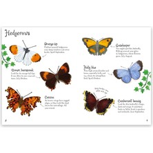 Usborne   Minis Butterflies To Spot