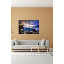 Canvasum Salon Oturma Odası Antre Balık Fantastik Kanvas Duvar Tablo AR030469