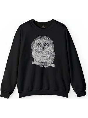Owl Baykuş Yavru Minik Kuş Baskılı Sweatshirt