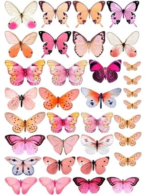 Atölye7 Tasarım Yenilebilir Kağıt Gıda Baskı