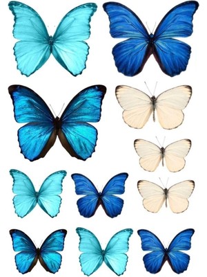 Atölye7 Tasarım Wafer Paper A4 Yenilebilir Kağıt Gıda Baskı 21 x 29 cm Esnek ve Kolay Kullanım