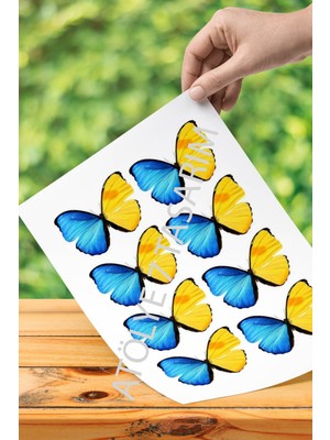 Atölye7 Tasarım Mavi Sarı Kelebekler Büyük Boy 8 Adet A4 Yenilebilir Süsü Pasta Kurabiye Şeker Hamuru Kağıt Baskısı