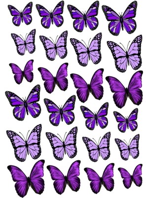 Atölye7 Tasarım Yenilebilir Kelebek Resimli Şeker Kağıt Pasta ve Kurabiye Baskısı A4 Boyutunda