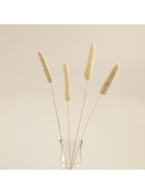 Lori Demet Kuru Çiçek Natural