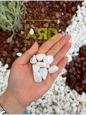 Ard Peyzaj Dolomit Taşı 25 kg 2-4 cm Beyaz Dolomit Taş Dere Çakıl Taşı Bahçe Süs Taşı  Teraryum Taşı Ard Peyzaj