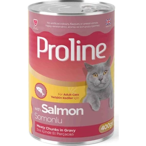 Pro Line Somonlu Gravy Yetişkin Kedi Konserve Maması 400 gr