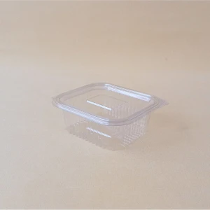 Kumsal Mutfak Plastik Sızdırmaz Kap 250 cc Kendinden Kapaklı 100'LÜ