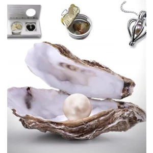 İstiridye İçinde Gerçek İnci Kolye