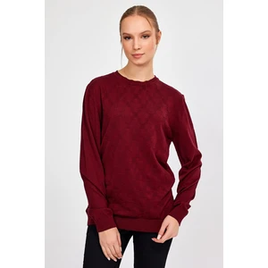 Alexander Gardi Jakarlı Salaş Triko Kazak (E21-5114)