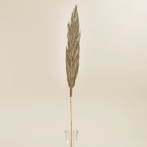 Dakota Dal Kuru Çiçek Natural