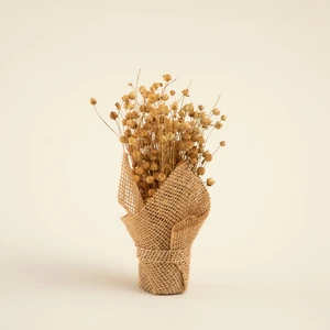 Amaris Jütte Kuru Çiçek Natural