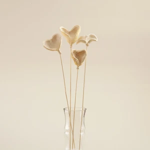 Scarlett Demet Kuru Çiçek Natural