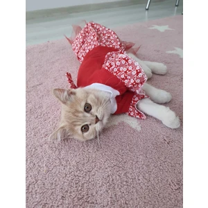 Çiçek Desenli Papyonlu Kırmızı Kedi Köpek Kıyafeti Elbisesi