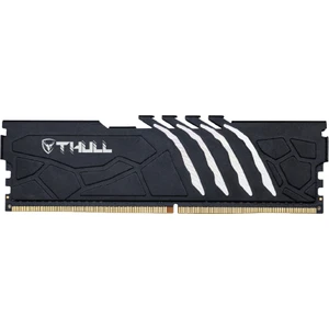 Vortex 8gb 3200MHZ CL16 1.35V Black Heatsınk Ddr4 Ram THL-PCVTX25600D4-8G-B