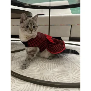 Kırmızı Siyah Kareli Papyonlu Dişi Kedi Köpek Kıyafeti Elbisesi