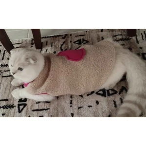 Pembe Kalpli Yumuşacık Krem Welsoft Kumaş Kedi ve Köpek Kıyafeti Elbisesi