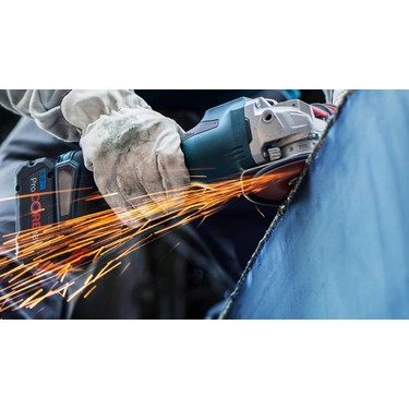 Bosch R781 Expert 125 mm 36 Kum Metal Disk Zımpara Fiyatı