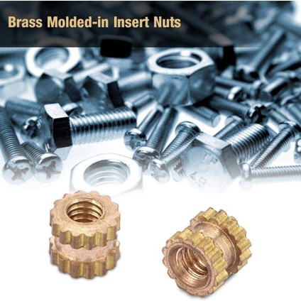 100 Adet Dişi Dişli Tırtıllı Somun Yuvarlak Çeşitler Kiti (M2X4 x 3.5) (Yurt Dışından)