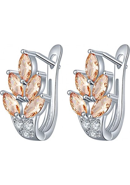 Kadın Kübik Zirkonya Kakma Sarılma I Düğün Nişan Mücevheri Hediye Şampanya Küpe (Yurt Dışından)