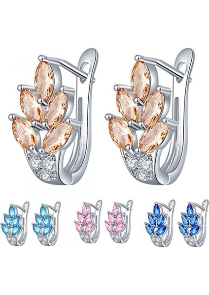 Kadın Kübik Zirkonya Kakma Sarılma I Düğün Nişan Mücevheri Hediye Şampanya Küpe (Yurt Dışından) fiyatları