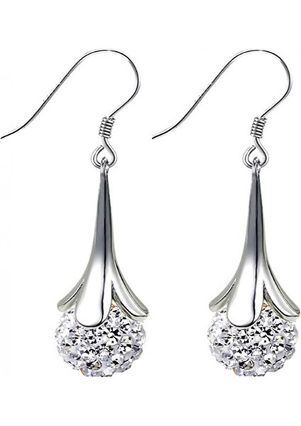 Morning Glory Sahte Aytaşı Kanca Kolye Alaşım Uzun Kanca Moda Takı Kadınlar Hediye Gümüş Küpe (Yurt Dışından)