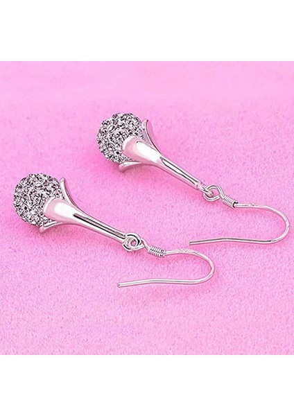 Morning Glory Sahte Aytaşı Kanca Kolye Alaşım Uzun Kanca Moda Takı Kadınlar Hediye Gümüş Küpe (Yurt Dışından) fiyatları