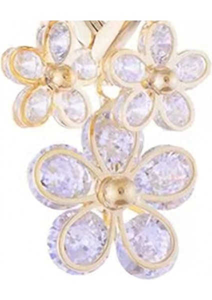 Halka Simetrik Sahte Kristal Halka Nefis Zarif Küpe (Yurt Dışından) fiyatları