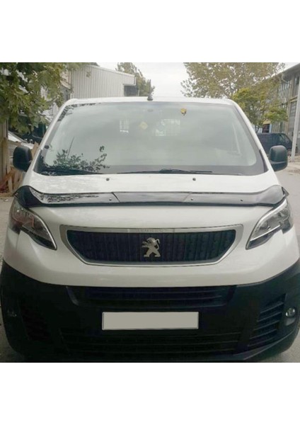Peugeot Expert 3 Ferrous Ön Kaput Koruyucu Rüzgarlık 2017 ve Üstü