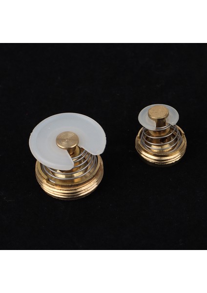 Gazlı Su Isıtıcısı Pirinç Kontrol Vanası Çekirdek Kapağı Kapağı Bağlantı Vanası Regülatörü Çekirdek Eatop (Yurt Dışından) fiyatları