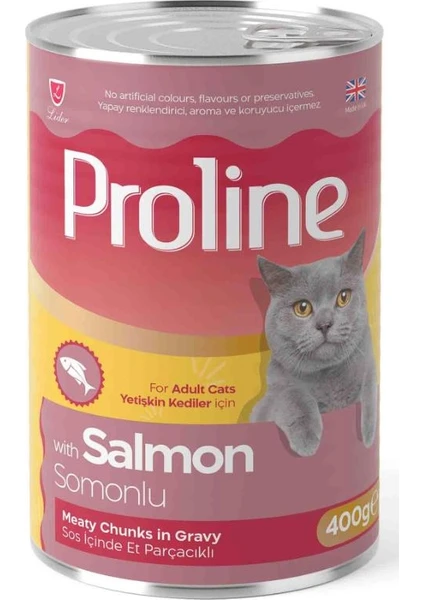 Pro Line Somonlu Gravy Yetişkin Kedi Konserve Maması 400 gr