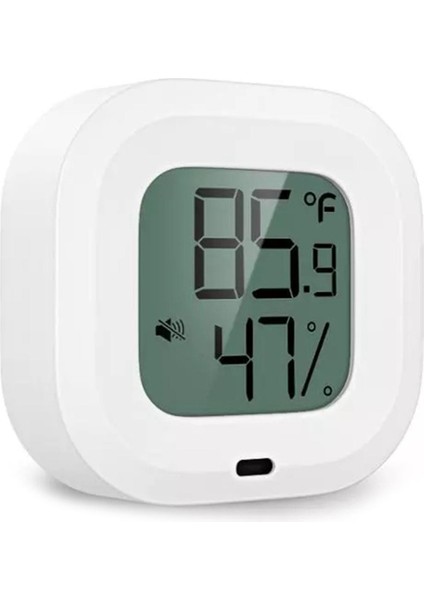 Ev Için Bluetooth 5.0 Nem Sıcaklık Uyarısı Dahili Mıknatıs (Yurt Dışından)