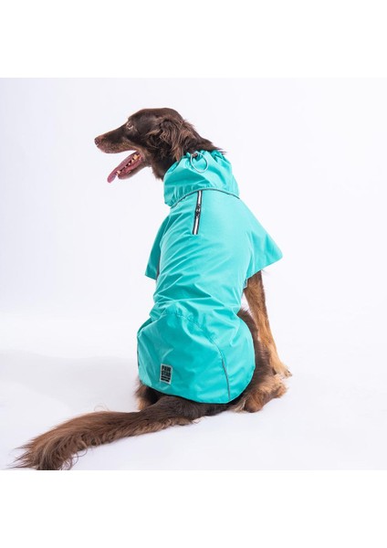 Colombia Mint Su Geçirmez Orta-Büyük Irk Köpek Pratik Yağmurluk