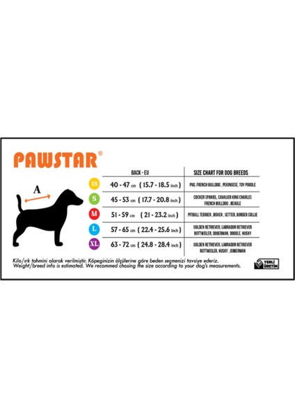 Colombia Mint Su Geçirmez Orta-Büyük Irk Köpek Pratik Yağmurluk modelleri